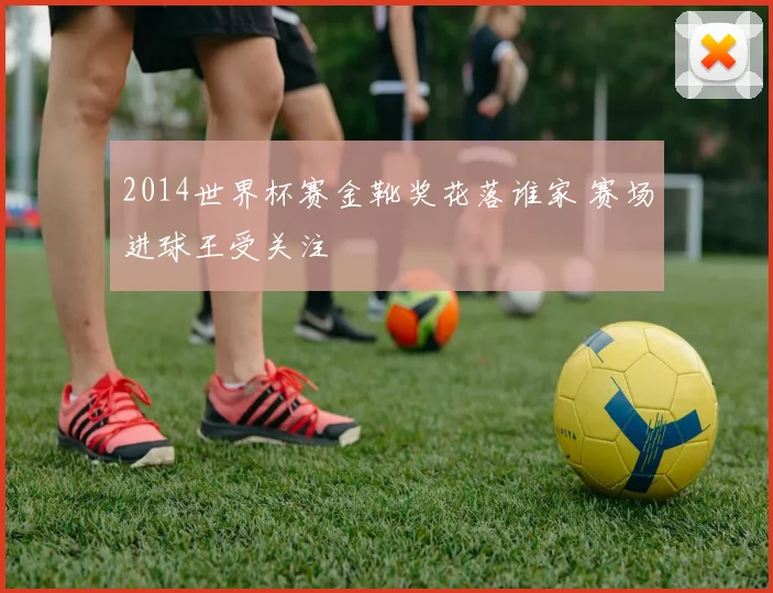 2014世界杯赛金靴奖花落谁家 赛场进球王受关注